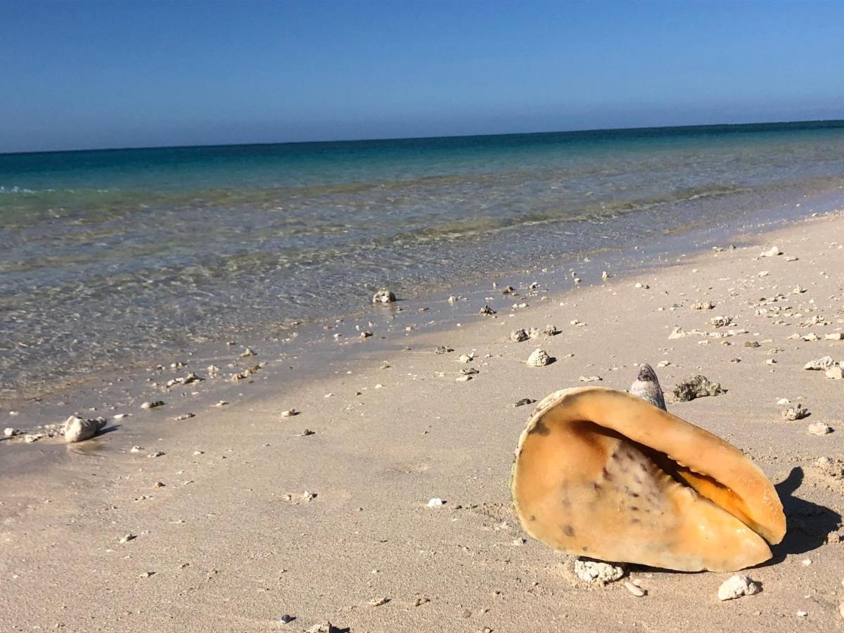 Emayani Beach Lodge Pangani Buitenkant foto