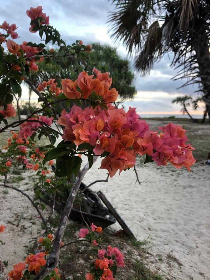 Emayani Beach Lodge Pangani Buitenkant foto