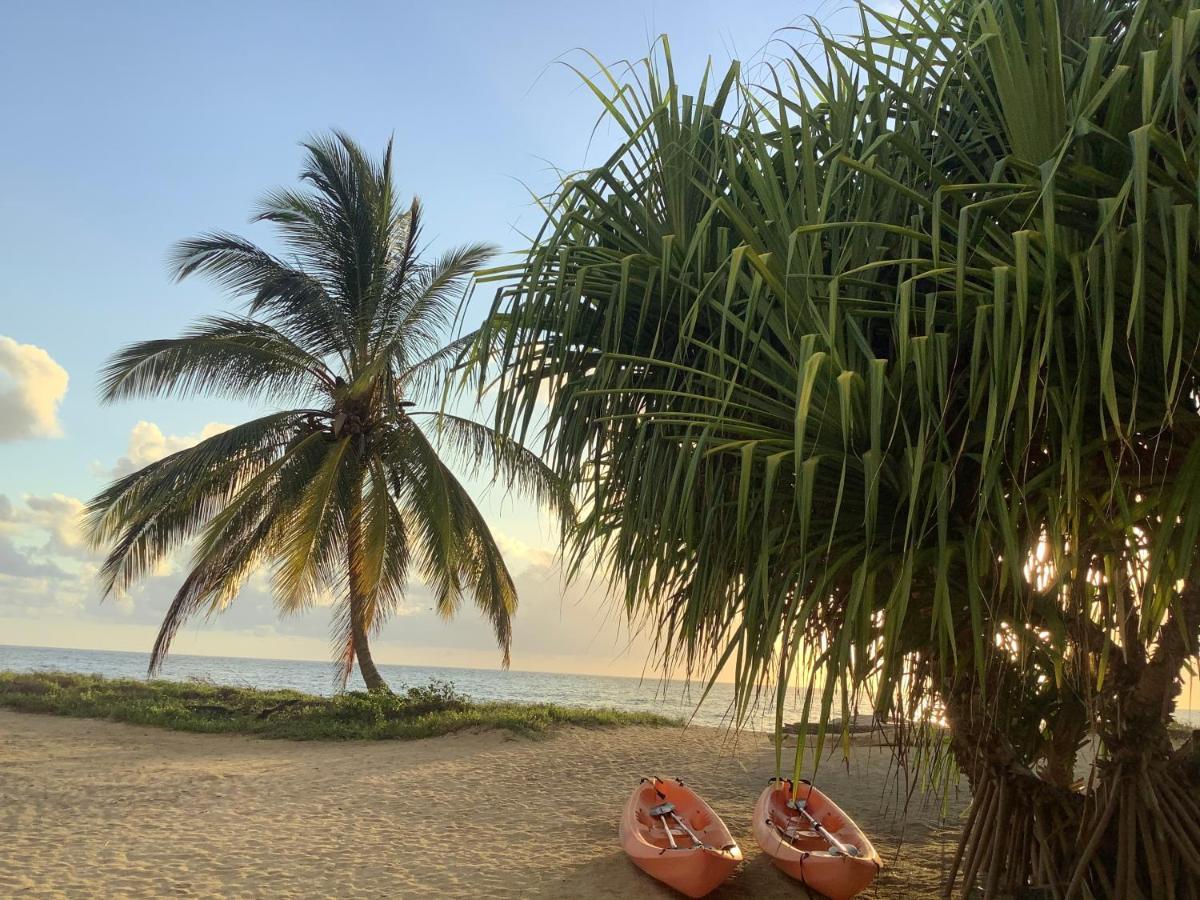 Emayani Beach Lodge Pangani Buitenkant foto