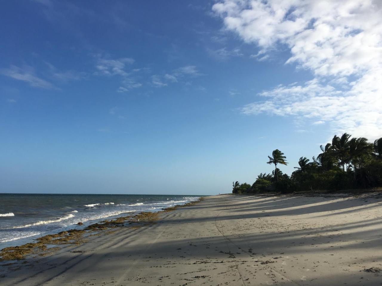 Emayani Beach Lodge Pangani Buitenkant foto