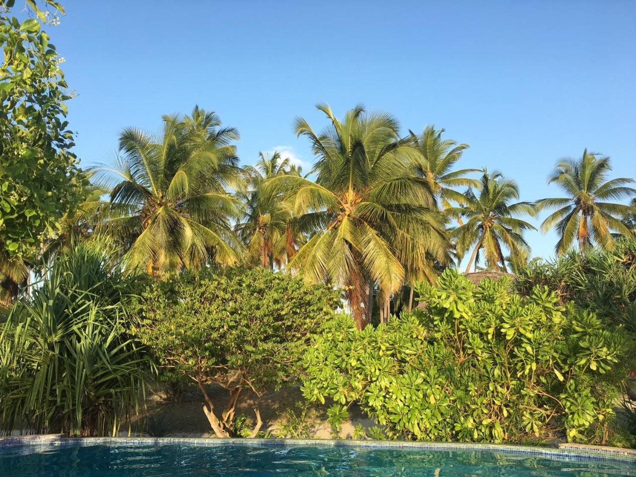 Emayani Beach Lodge Pangani Buitenkant foto